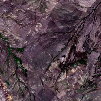 Космический мониторинг пастбищных угодий РК